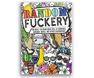 Read more about the article Random F*ckery Coloring Book