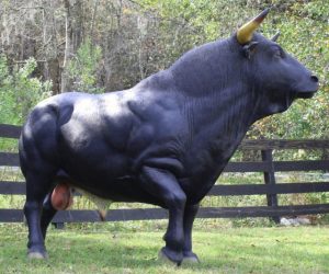 Read more about the article Life Size Spanish Bull Statue