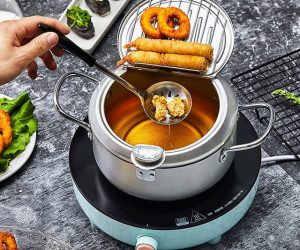 Read more about the article Japanese Tempura Deep Fryer