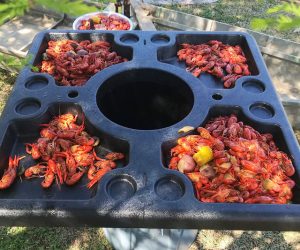 Read more about the article Crawfish Boil Tabletop<span class="rmp-archive-results-widget "><i class=" rmp-icon rmp-icon--ratings rmp-icon--thumbs-up rmp-icon--full-highlight"></i><i class=" rmp-icon rmp-icon--ratings rmp-icon--thumbs-up rmp-icon--full-highlight"></i><i class=" rmp-icon rmp-icon--ratings rmp-icon--thumbs-up rmp-icon--full-highlight"></i><i class=" rmp-icon rmp-icon--ratings rmp-icon--thumbs-up rmp-icon--full-highlight"></i><i class=" rmp-icon rmp-icon--ratings rmp-icon--thumbs-up rmp-icon--half-highlight js-rmp-remove-half-star"></i> <span>4.3 (359)</span></span>