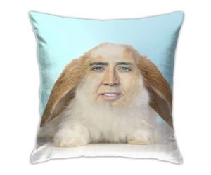Read more about the article Nicolas Cage Bunny Pillow