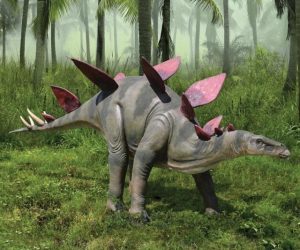 Read more about the article Jurassic-Sized Stegosaurus Statue