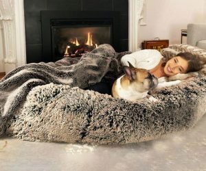 Read more about the article Plufl: The Dog Bed for Humans<span class="rmp-archive-results-widget "><i class=" rmp-icon rmp-icon--ratings rmp-icon--thumbs-up rmp-icon--full-highlight"></i><i class=" rmp-icon rmp-icon--ratings rmp-icon--thumbs-up rmp-icon--full-highlight"></i><i class=" rmp-icon rmp-icon--ratings rmp-icon--thumbs-up rmp-icon--full-highlight"></i><i class=" rmp-icon rmp-icon--ratings rmp-icon--thumbs-up rmp-icon--full-highlight"></i><i class=" rmp-icon rmp-icon--ratings rmp-icon--thumbs-up rmp-icon--half-highlight js-rmp-remove-half-star"></i> <span>4.3 (160)</span></span>