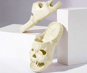 Read more about the article Skull Slides