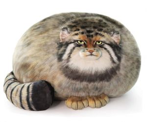 Read more about the article Chonker Cat Plush Pillow