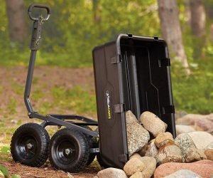 Read more about the article Backyard Dump Cart