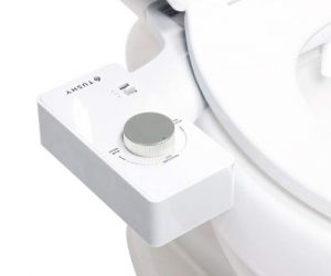 Read more about the article Tushy Bidet Toilet Attachment