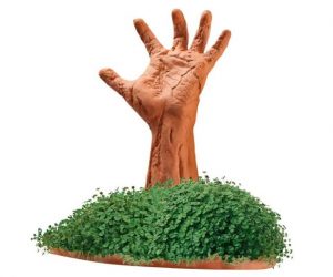 Read more about the article Zombie Arm Chia Pet