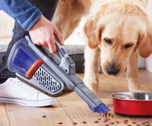 Read more about the article Furbuster Handheld Pet Vacuum