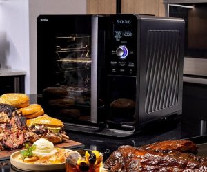 Read more about the article GE Profile Smart Indoor Smoker