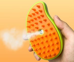 Read more about the article Steamy Cat Brush