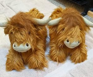 Read more about the article Highland Cow Fluffy Slippers