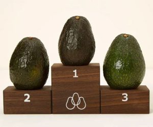 Read more about the article Avocado Ripeness Ranker