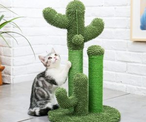 Read more about the article Cactus Cat Scratch Post