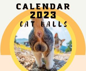 Read more about the article Cat Balls Calendar<span class="rmp-archive-results-widget "><i class=" rmp-icon rmp-icon--ratings rmp-icon--thumbs-up rmp-icon--full-highlight"></i><i class=" rmp-icon rmp-icon--ratings rmp-icon--thumbs-up rmp-icon--full-highlight"></i><i class=" rmp-icon rmp-icon--ratings rmp-icon--thumbs-up rmp-icon--full-highlight"></i><i class=" rmp-icon rmp-icon--ratings rmp-icon--thumbs-up rmp-icon--full-highlight"></i><i class=" rmp-icon rmp-icon--ratings rmp-icon--thumbs-up "></i> <span>4.2 (147)</span></span>