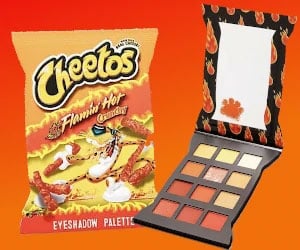 Read more about the article Cheetos Eyeshadow Palette