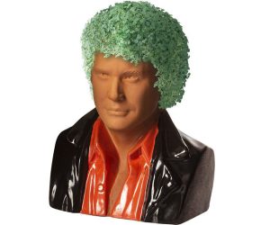 Read more about the article David Hasselhoff Chia Pet