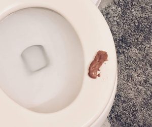 Read more about the article Edible Fake Poop