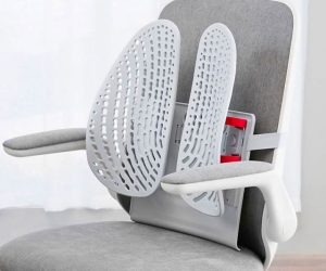 Read more about the article Leband Lumbar Back Support