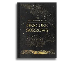 Read more about the article The Dictionary Of Obscure Sorrows