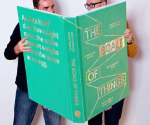 Read more about the article The Scale Of Things Book
