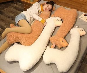 Read more about the article Giant Llama Pillow