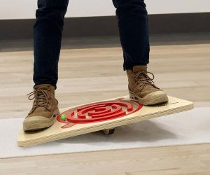 Read more about the article Maze Balance Board